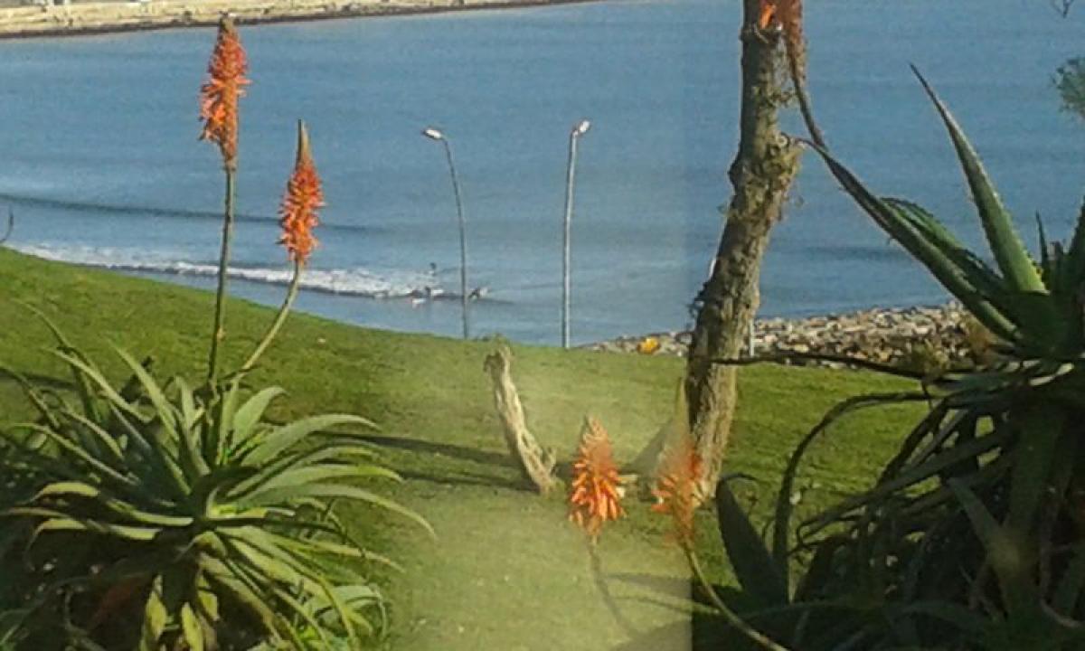 3 bedrooms Apartment in Mar del Plata, Argentina No. 80510