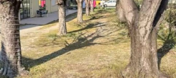 1200m² Hotel in Rimini, Italy No. 348778 3