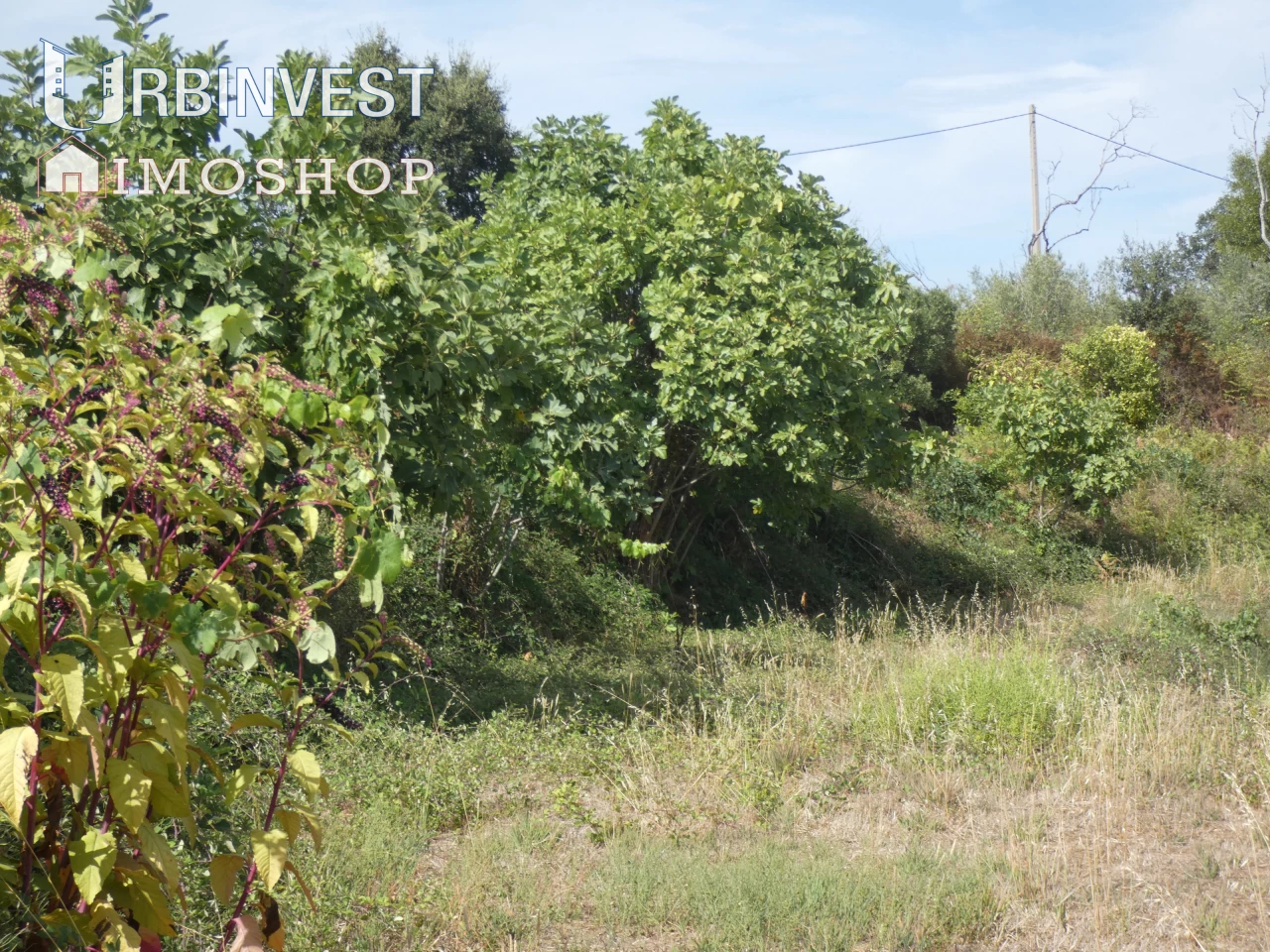  Land in Monchique, Portugal No. 333689