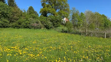 Terreno en Kapfenberg, Austria No. 165172