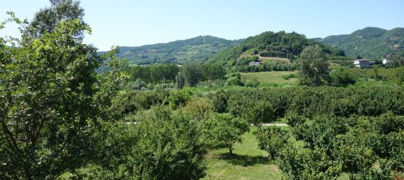 10 rooms House in Cessole, Italy No. 72782 29