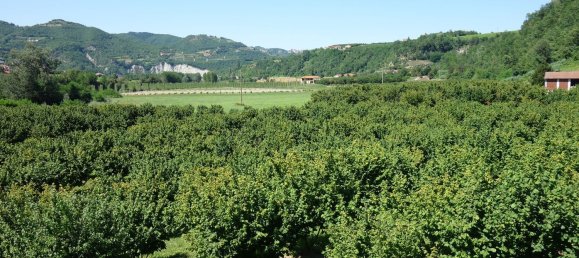 10 rooms House in Cessole, Italy No. 72782 27