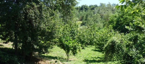 10 rooms House in Cessole, Italy No. 72782 24