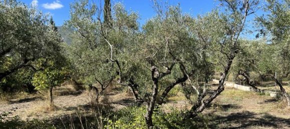 8 Schlafzimmer Gewerbliche Immobilien in Zakynthos, Greece, Nr. 792 8