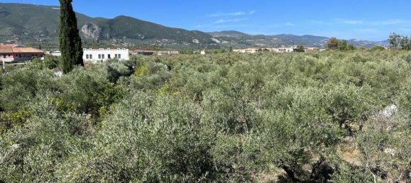 8 Schlafzimmer Gewerbliche Immobilien in Zakynthos, Greece, Nr. 792 4