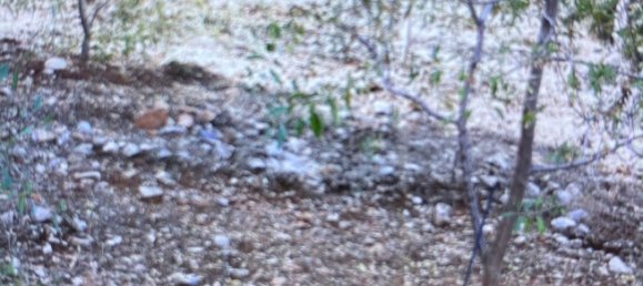 Terreno em Tolox, Spain N.º 165379 16