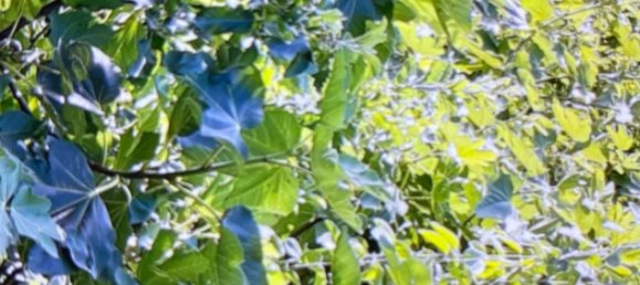 Terreno em Tolox, Spain N.º 165379 10