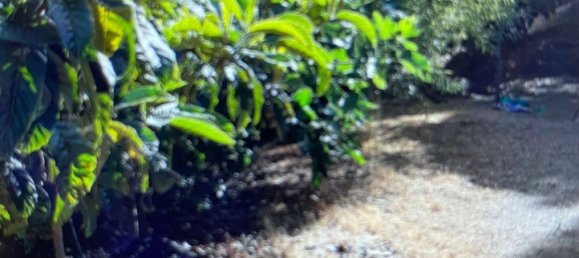 Terreno em Tolox, Spain N.º 165379 35