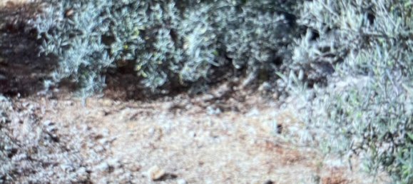 Terreno em Tolox, Spain N.º 165379 21