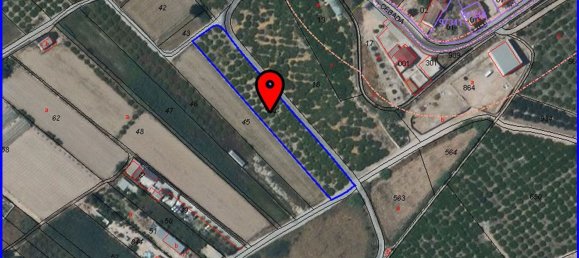 Grundstück in Cobatillas, Spain, Nr. 145761 2