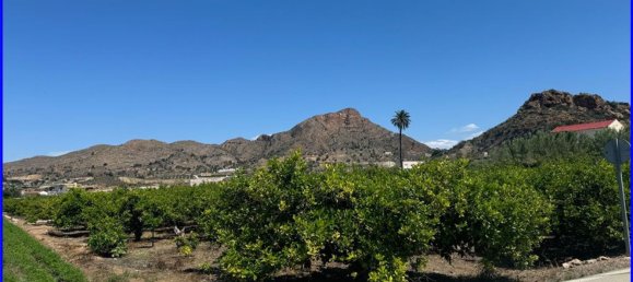 Grundstück in Cobatillas, Spain, Nr. 145761 3