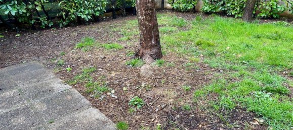 5 rooms House in Riese Pio X, Italy No. 14715 85