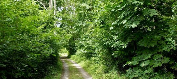 35غرفة قلاع في Chateau-Thierry, France رقم 254082 18