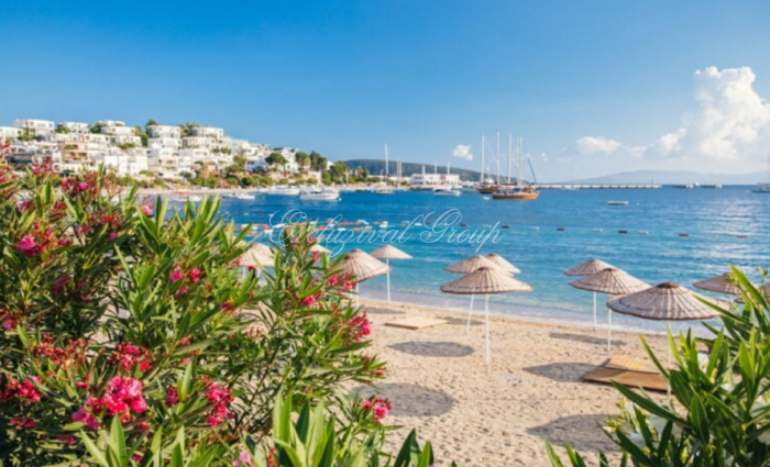 4000m² Land in Bodrum, Turkey No. 28851