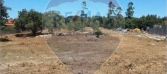 1000m² Land in Turquel, Portugal No. 63057 3