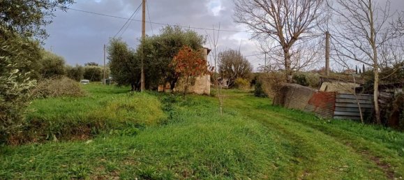 6 rooms House in Santa Maria a Monte, Italy No. 82832 11