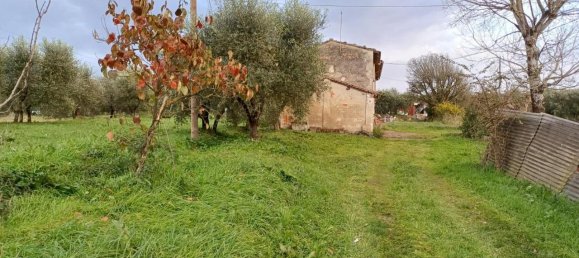6 rooms House in Santa Maria a Monte, Italy No. 82832 3