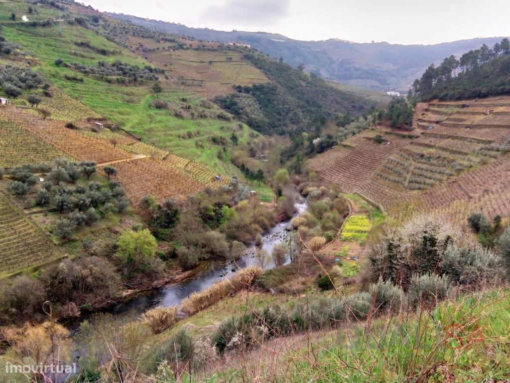 Grundstück in Cumieira, Portugal 70000m², Nr. 300857