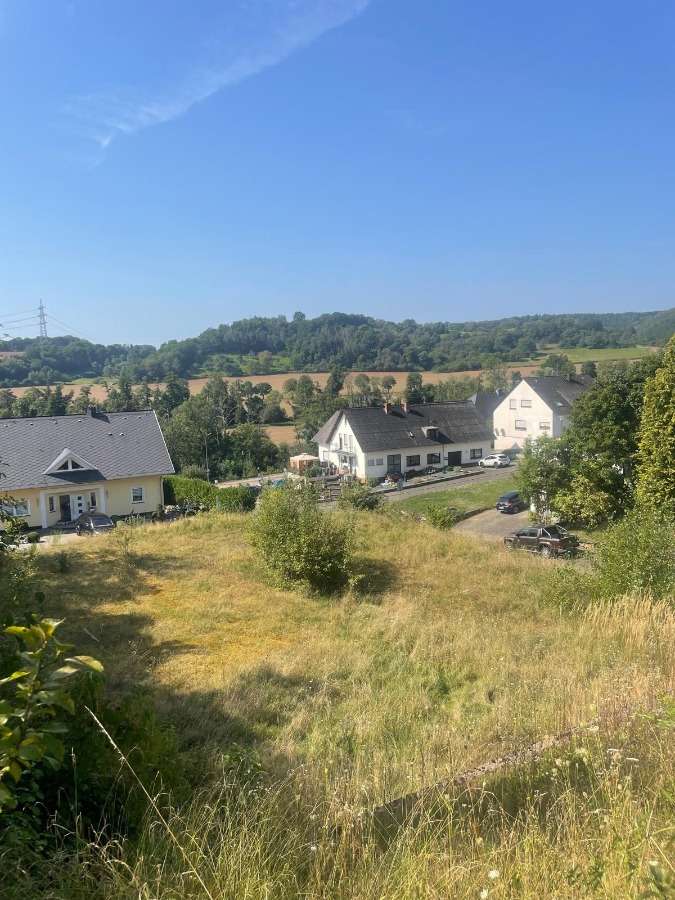 1183m² Land in Bernkastel-Wittlich, Germany No. 150166