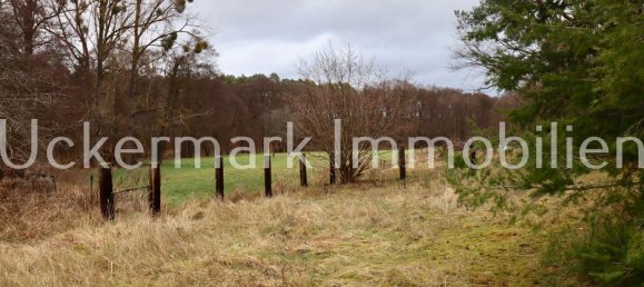 Дом с 1 спальней в Уккермарк, Германия № 36439 24