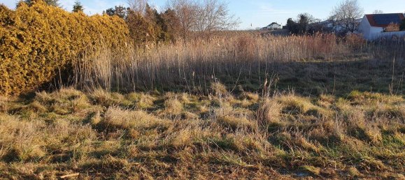 Земельный участок в Гольс, Австрия № 70034 3