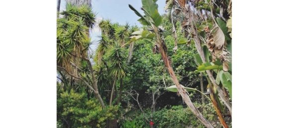 5 Schlafzimmer Haus in Oeiras, Portugal, Nr. 134808 2