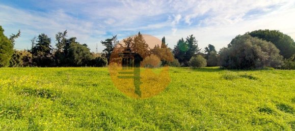 21720m² Land in Vila Nova de Cacela, Portugal No. 74534 49