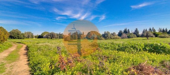 21720m² Land in Vila Nova de Cacela, Portugal No. 74534 50