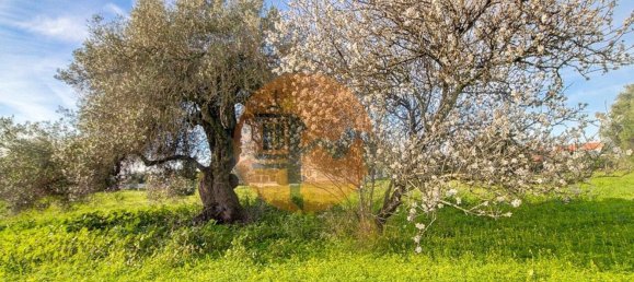 21720m² Land in Vila Nova de Cacela, Portugal No. 74534 48