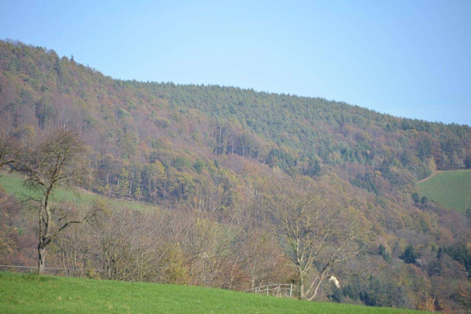 2-salle Terrain à Andritz, Austria No. 20651