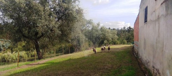 2 bedrooms House in Vinha da Rainha, Portugal No. 178020 24