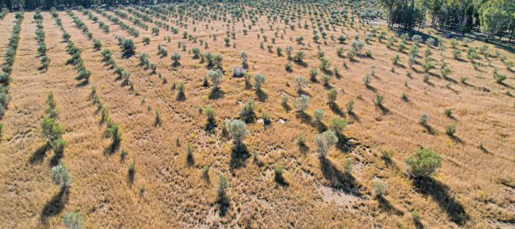 Земельный участок 74700м² в Millmerran Downs, Австралия № 576 2