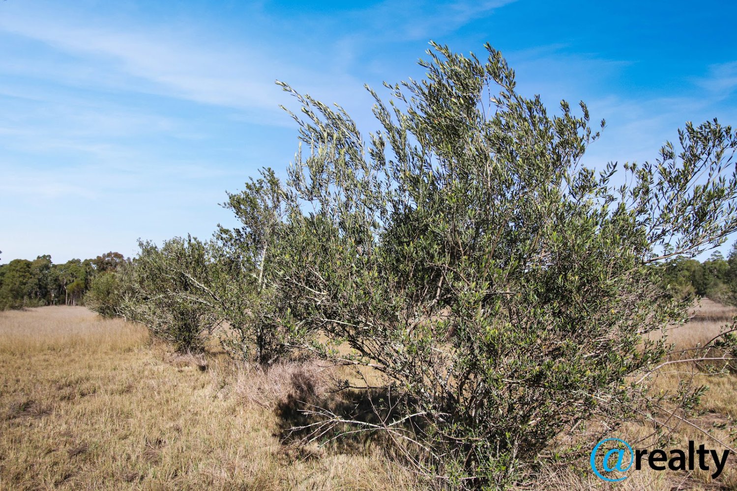 Земельный участок 74700м² в Millmerran Downs, Австралия № 576