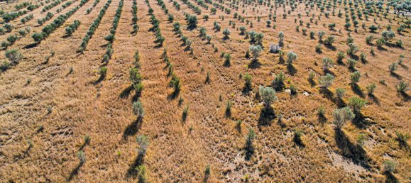 Земельный участок 74700м² в Millmerran Downs, Австралия № 576 4