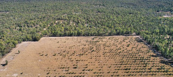 Земельный участок 74700м² в Millmerran Downs, Австралия № 576 3