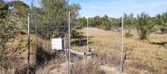 Земельный участок 74700м² в Millmerran Downs, Австралия № 576 5