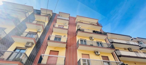 3-Zimmer Wohnung in Valenzano, Italy, Nr. 17179 15