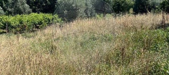 1 bedroom Castles in Macas de Dona Maria, Portugal No. 35460 3