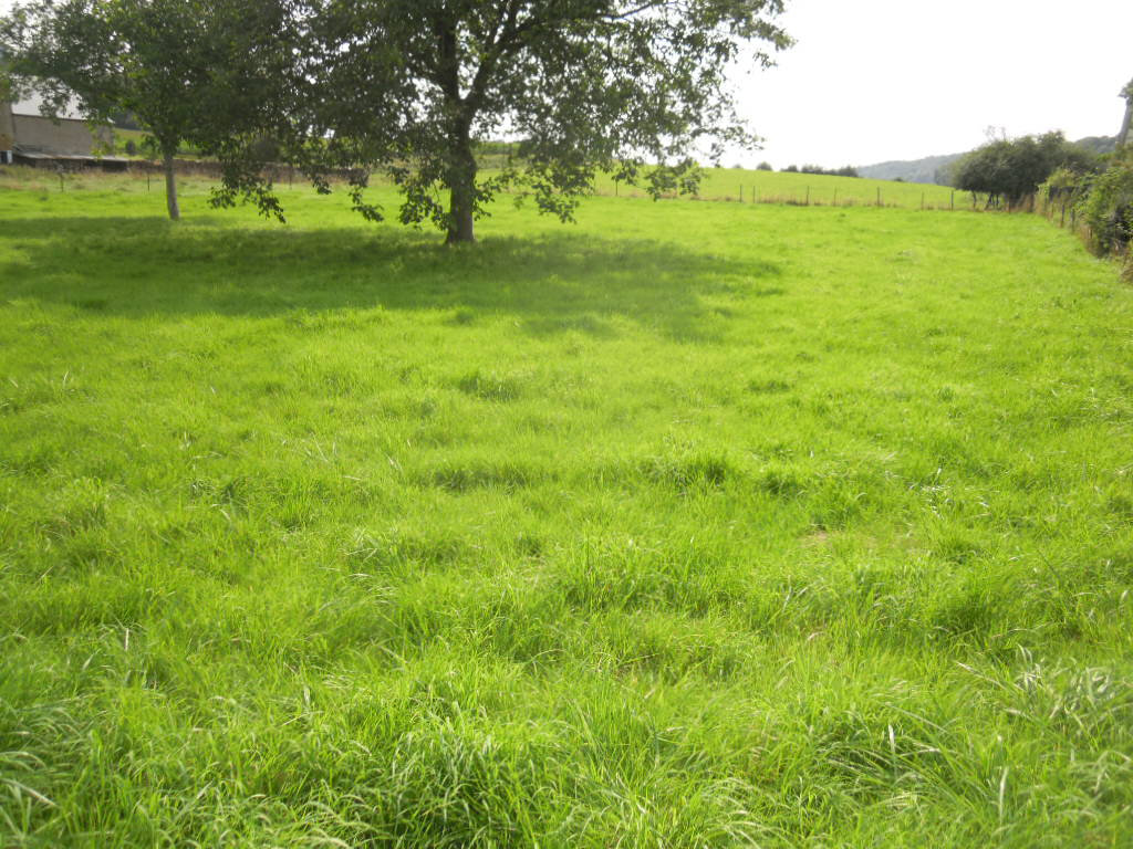 Land in Clavy-Warby, France No. 272664