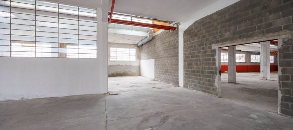 9000m² Warehouse in Moncalieri, Italy No. 55422 15