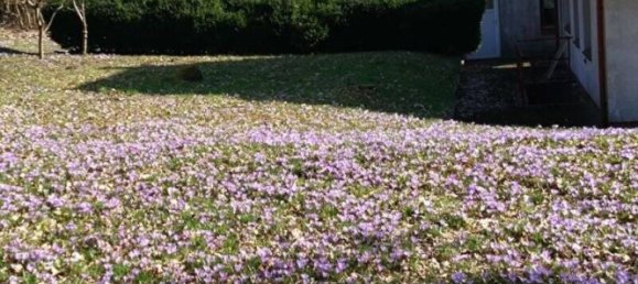 6-Zimmer Haus in Schleswig-Holstein, Germany, Nr. 29871 20