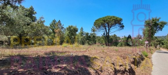  قطعة أرض في Brasfemes, Portugal 4150متر مربع رقم 313196 5