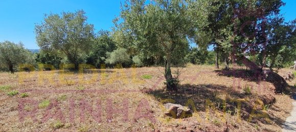  قطعة أرض في Brasfemes, Portugal 4150متر مربع رقم 313196 4