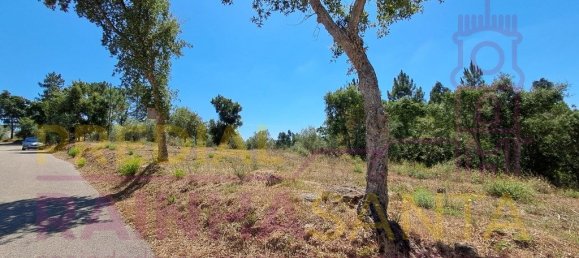  قطعة أرض في Brasfemes, Portugal 4150متر مربع رقم 313196 9