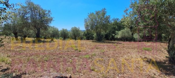  قطعة أرض في Brasfemes, Portugal 4150متر مربع رقم 313196 6