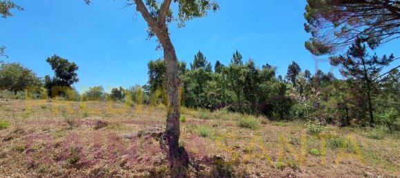  قطعة أرض في Brasfemes, Portugal 4150متر مربع رقم 313196 8