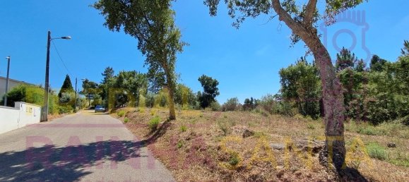  قطعة أرض في Brasfemes, Portugal 4150متر مربع رقم 313196 7