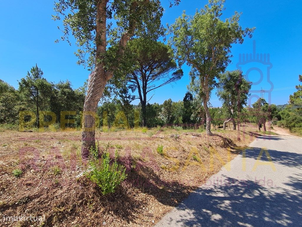 Grundstück in Brasfemes, Portugal 4150m², Nr. 313196