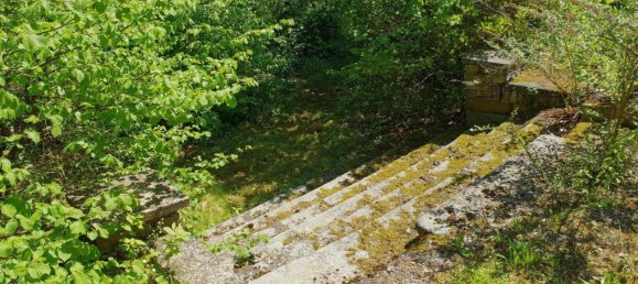 13غرفة قلاع في Zelking-Matzleinsdorf, Austria رقم 246327 6