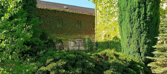 13غرفة قلاع في Zelking-Matzleinsdorf, Austria رقم 246327 4